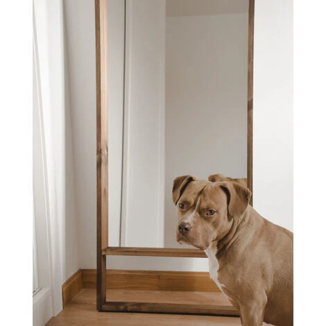 DECOWOOD Miroir Walls II Vieilli 160x60cm 4 DECOWOOD Miroir Walls II Vieilli 160x60cm – Image 2