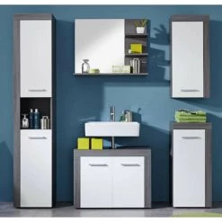 LES TENDANCES Armoire De Toilette 1 Porte Mélaminé Blanc Et Gris Anide -Miroir Soldes Boutique 47606679 5