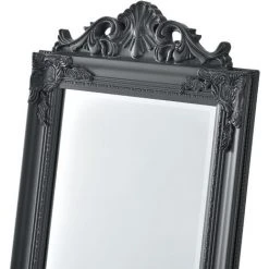 NOVA Miroir Baroque Du Sol Pour Le Salon De La Salle Inclinable Entrée Diverses Couleurs Couleur : Gris Foncé -Miroir Soldes Boutique 58598452 5