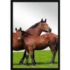 L'UNIVERS DU CHEVAL Miroir Rectangulaire Cheval -Miroir Soldes Boutique 62016184 1