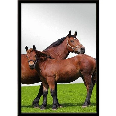 L'UNIVERS DU CHEVAL Miroir Rectangulaire Cheval 3 L'UNIVERS DU CHEVAL Miroir Rectangulaire Cheval