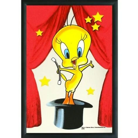 Miroir Rectangulaire Sérigraphié Titi 3 Miroir Rectangulaire Sérigraphié Titi