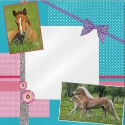 L'UNIVERS DU CHEVAL Grand Miroir Chevaux