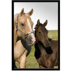 L'UNIVERS DU CHEVAL Miroir à Suspendre Portait Cheval