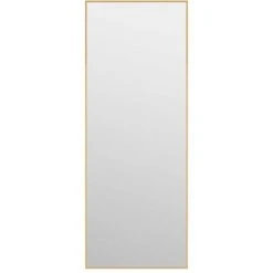 Miroir De Porte Doré 30x80 Cm Verre Et Aluminium VidaXL - Or