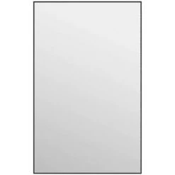 Miroir De Porte Noir 50x80 Cm Verre Et Aluminium VidaXL - Noir