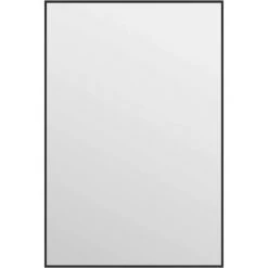 Miroir De Porte Noir 40x60 Cm Verre Et Aluminium VidaXL - Noir