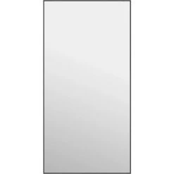 Miroir De Porte Noir 50x100 Cm Verre Et Aluminium VidaXL - Noir