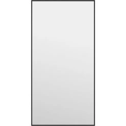 Miroir De Porte Noir 30x60 Cm Verre Et Aluminium VidaXL - Noir