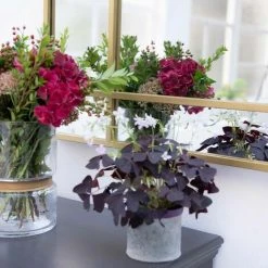 PASSAGE VERNET Miroir Art Déco En Métal Doré 130 X 90 Cm - Wallis - Intérieur/extérieur - Dorado 9 PASSAGE VERNET Miroir Art Déco En Métal Doré 130 X 90 Cm - Wallis - Intérieur/extérieur - Dorado -Miroir Soldes Boutique 67620741 3